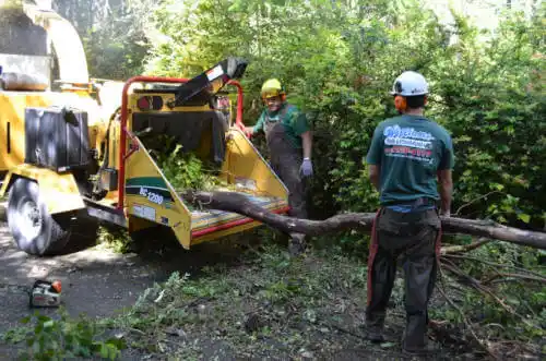 tree services Metamora